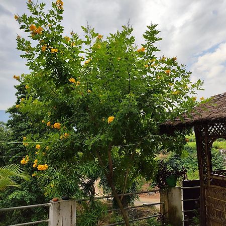 Nature Villa Ришикеш Экстерьер фото
